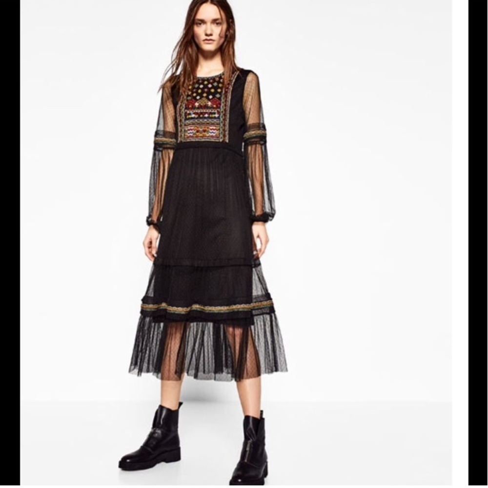 Zara plumetis tulle embroidered dress